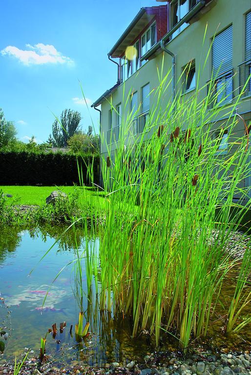 Landhotel Altes Wasserwerk Gbr Freinsheim Extérieur photo